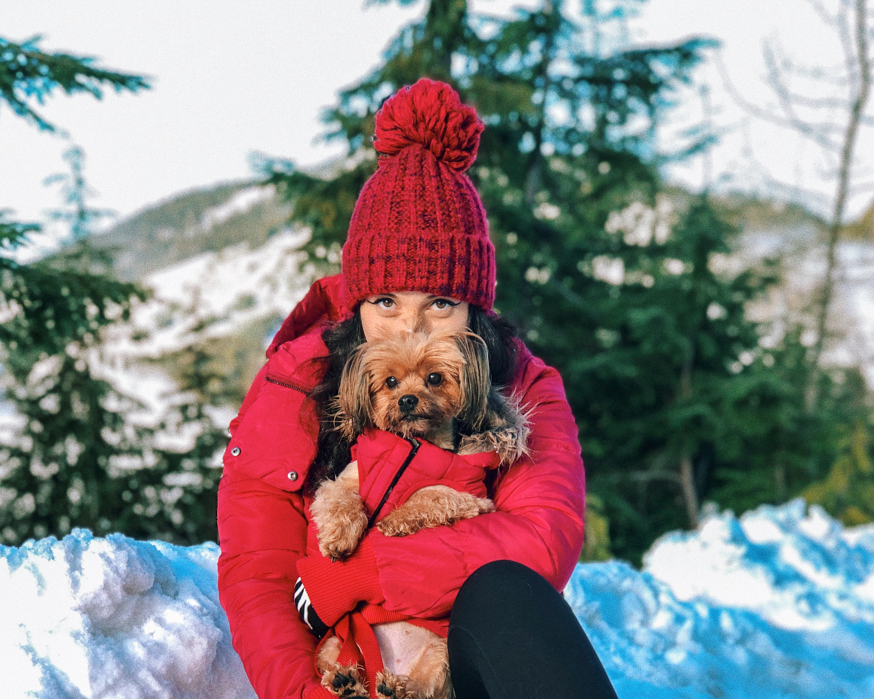 Como levar cachorro para o Canadá?